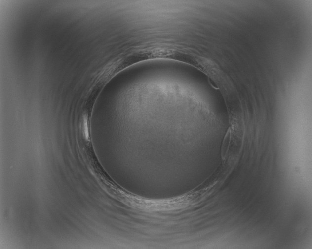 X0000058790046200509301152