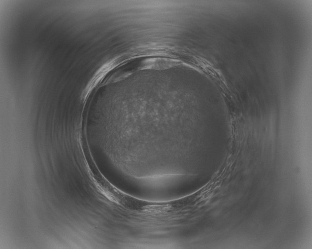 X0000058790051200509301152