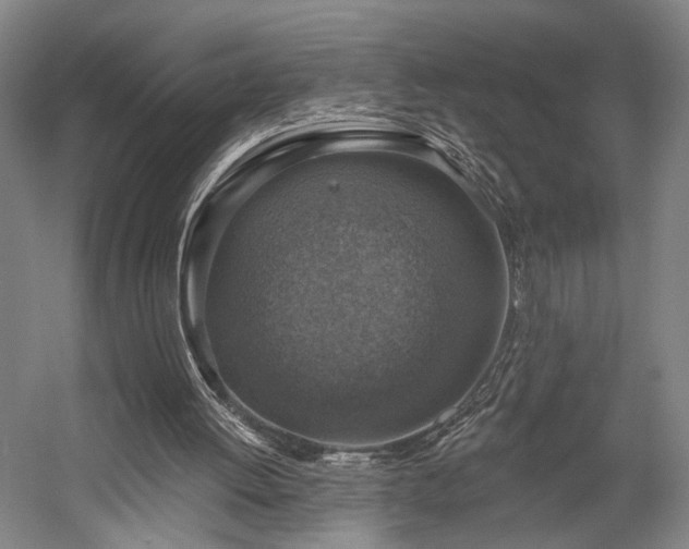 X0000058790052200509301152