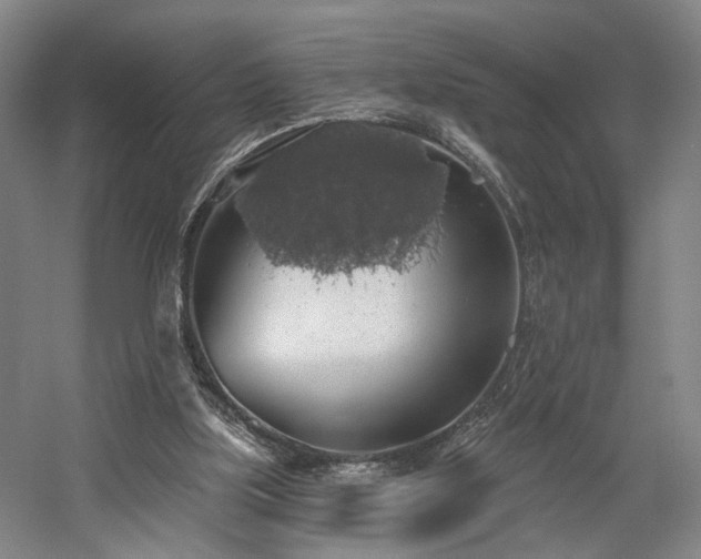 X0000058790059200509301152