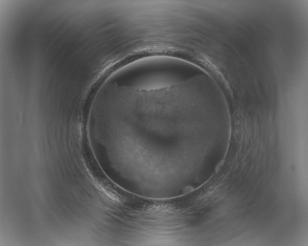 X0000058790063200509301152