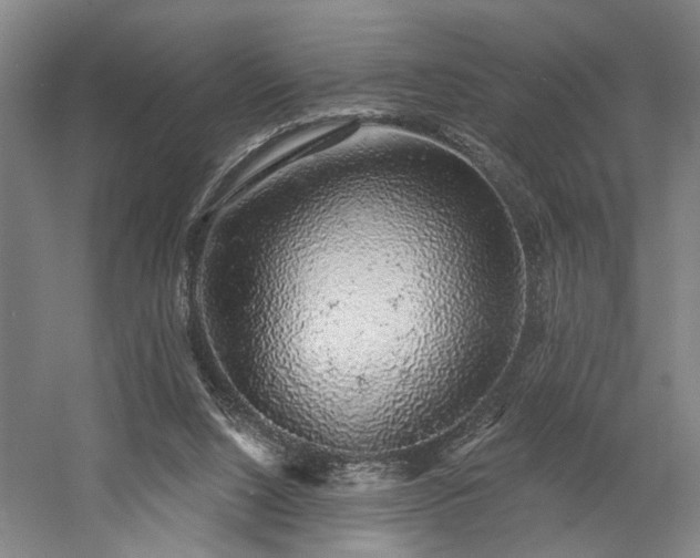 X0000058790064200509301152