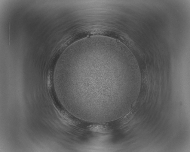 X0000058790074200509301152