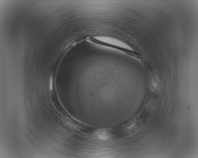 X0000058790076200509301152
