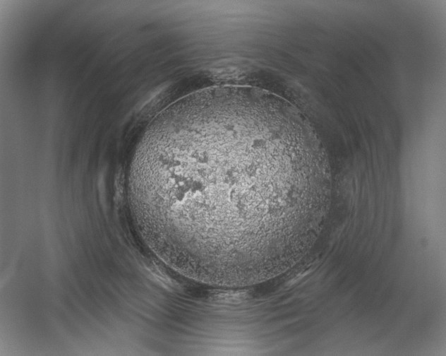 X0000058790081200509301152