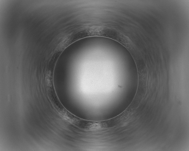X0000058790083200509301152