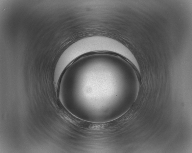 X0000058790084200509301152