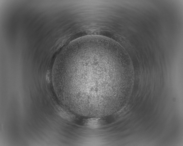 X0000058790090200509301152