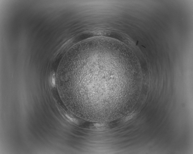 X0000058790095200509301152
