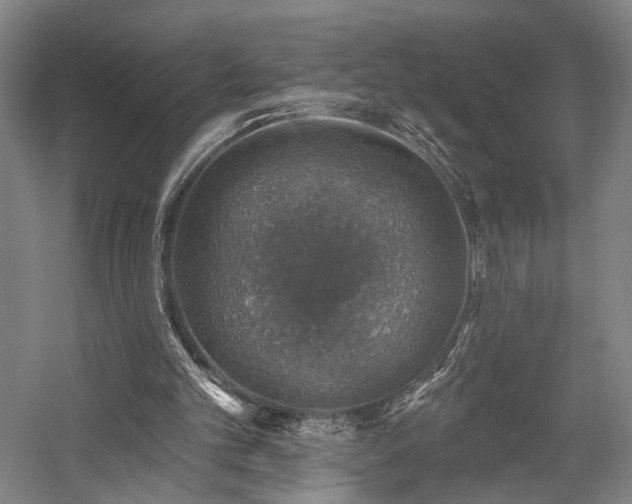 X0000058790101200509301151