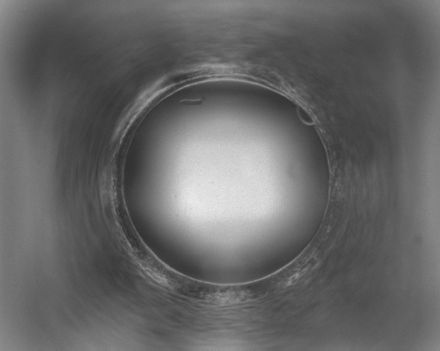 X0000058790103200509301151