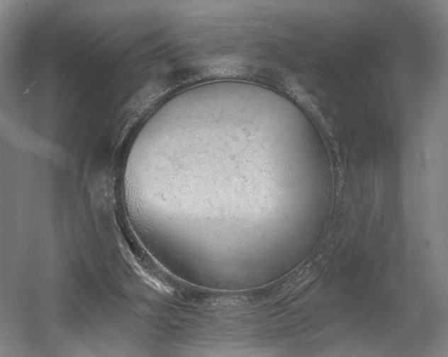 X0000058790106200509301151