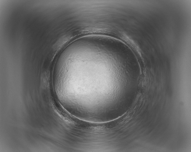 X0000058790107200509301151