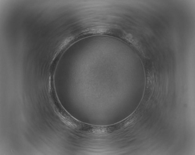 X0000058790110200509301151