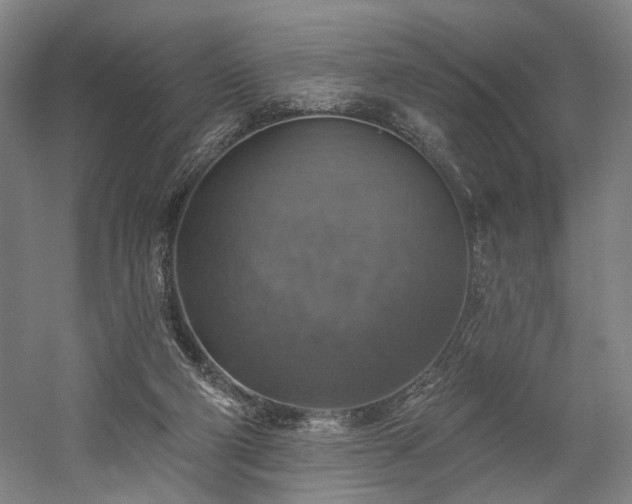 X0000058790114200509301151