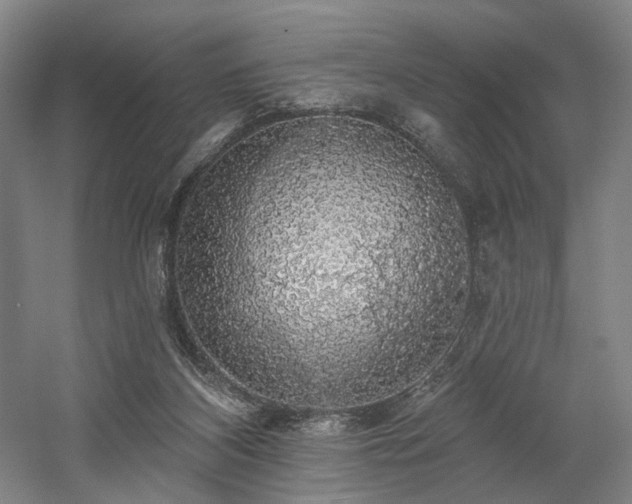 X0000058790116200509301151
