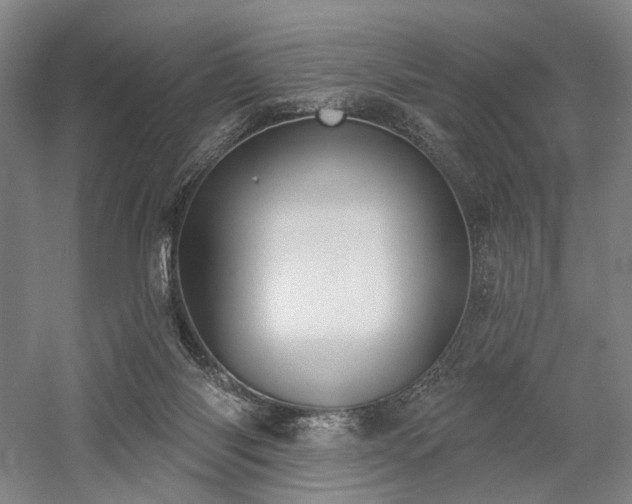 X0000058790118200509301151