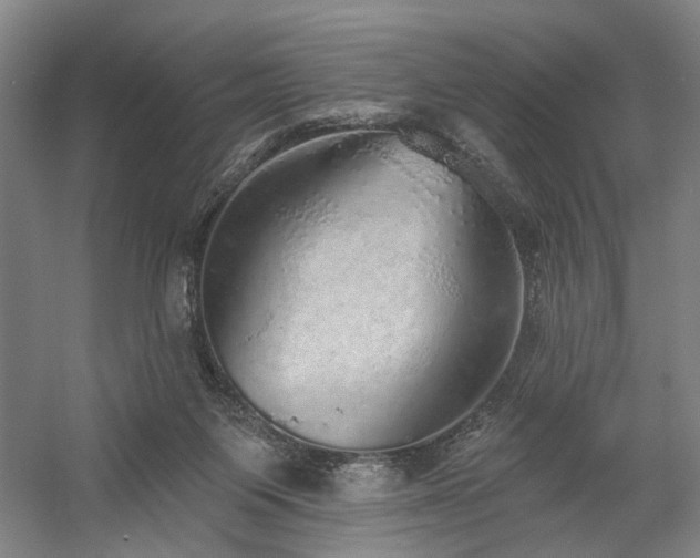 X0000058790119200509301151