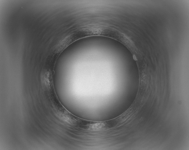 X0000058790122200509301151