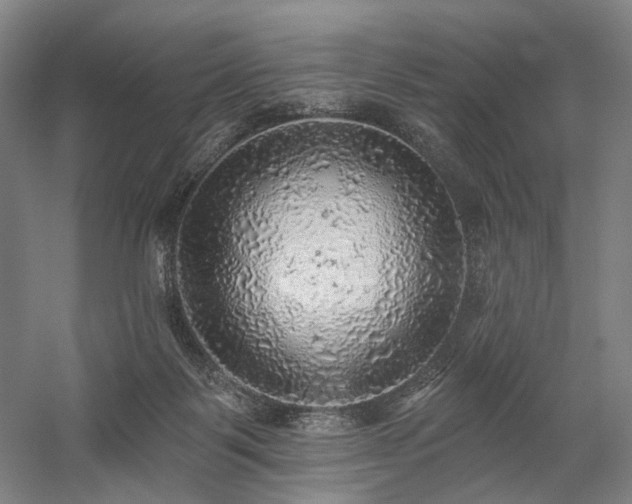 X0000058790123200509301151