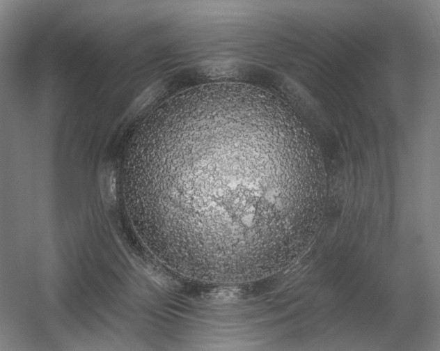X0000058790124200509301151
