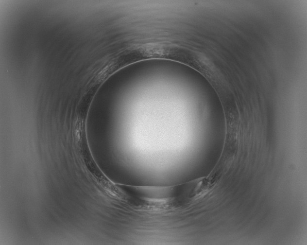 X0000058790125200509301151