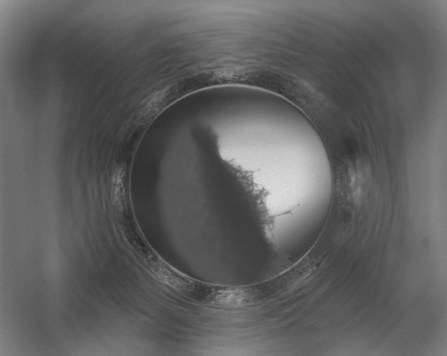 X0000058790127200509301151