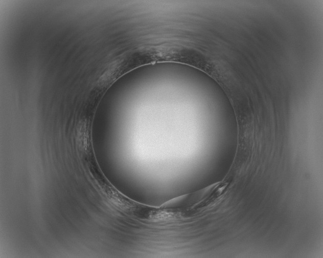 X0000058790129200509301151
