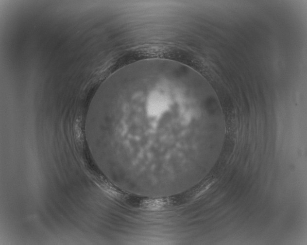 X0000058790131200509301151