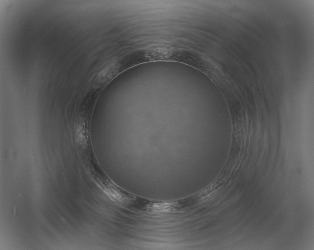 X0000058790134200509301151