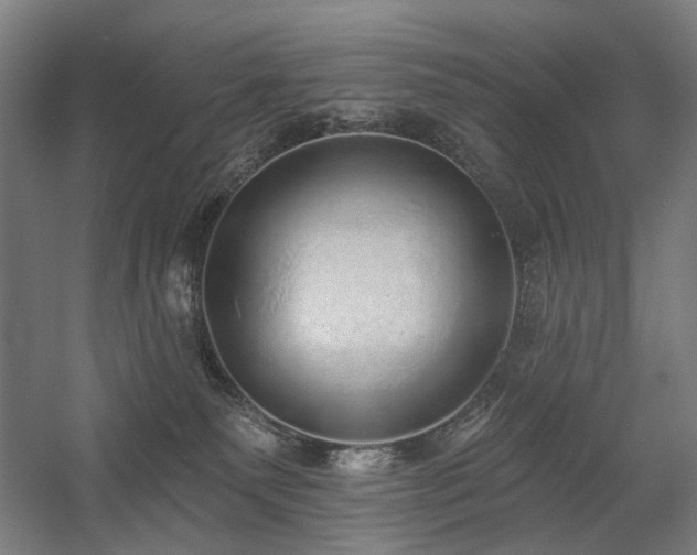 X0000058790135200509301151