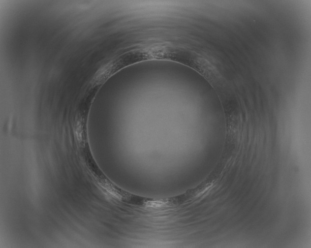 X0000058790139200509301151