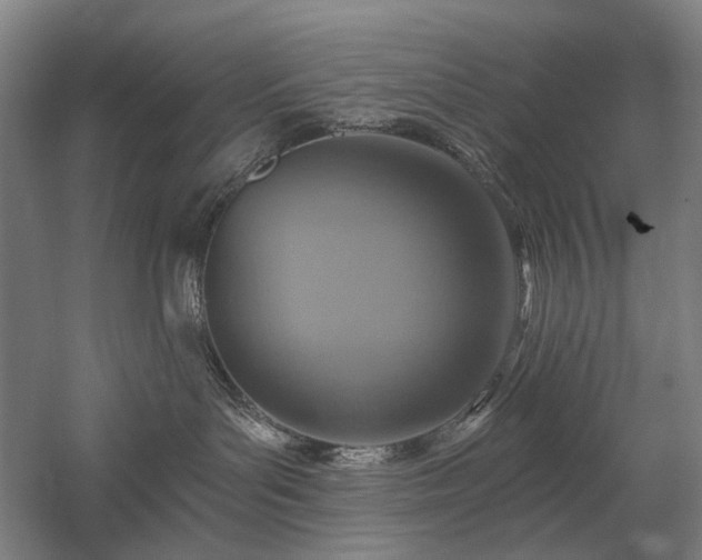 X0000058790143200509301151