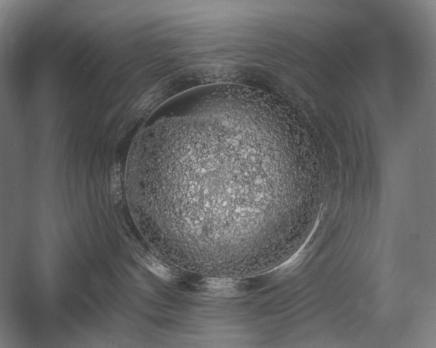 X0000058790144200509301151