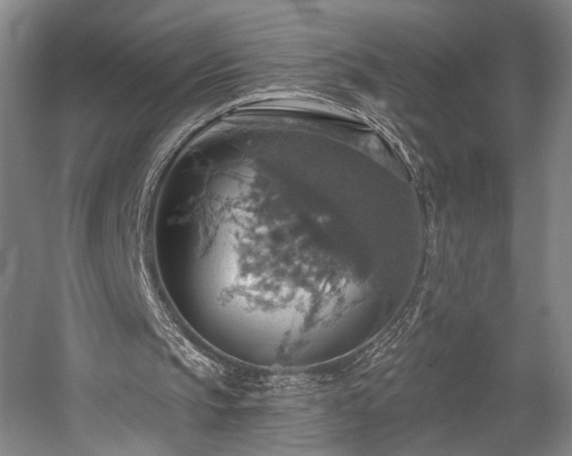 X0000058790145200509301150