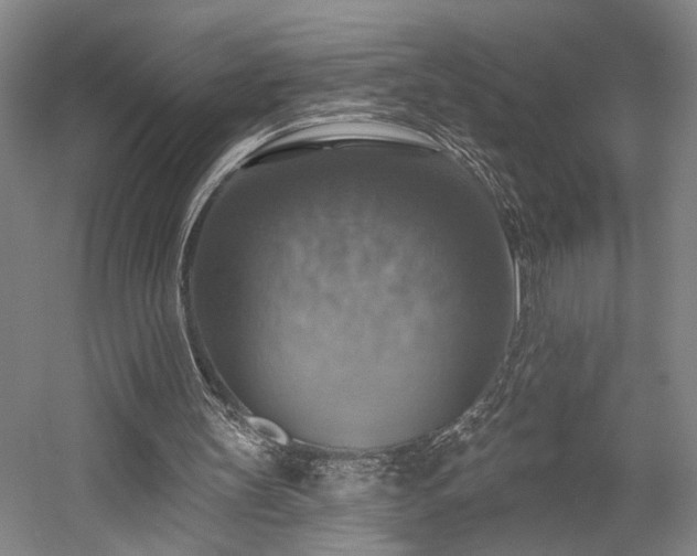 X0000058790147200509301150