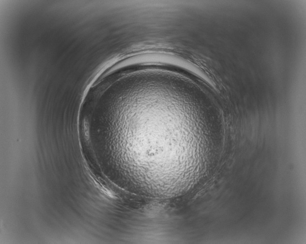 X0000058790148200509301150