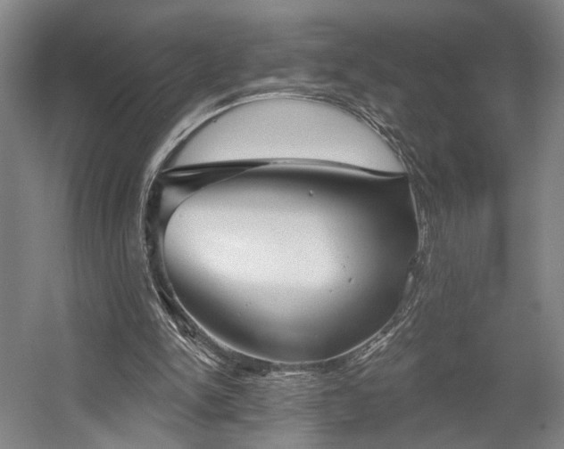 X0000058790150200509301150