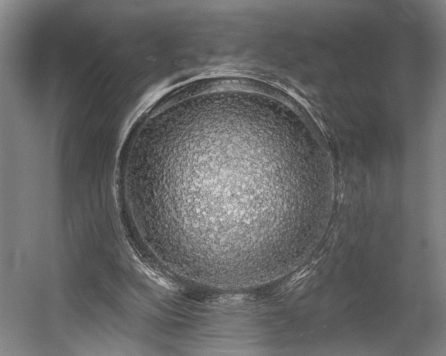 X0000058790152200509301150