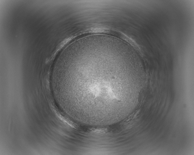 X0000058790155200509301150