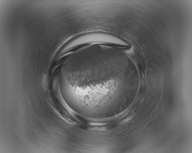 X0000058790156200509301150