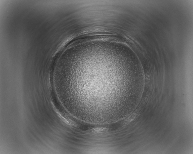 X0000058790158200509301150