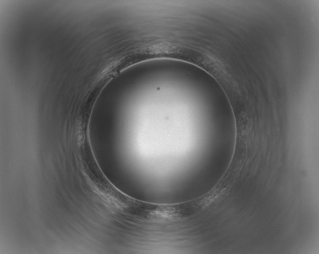 X0000058790164200509301150