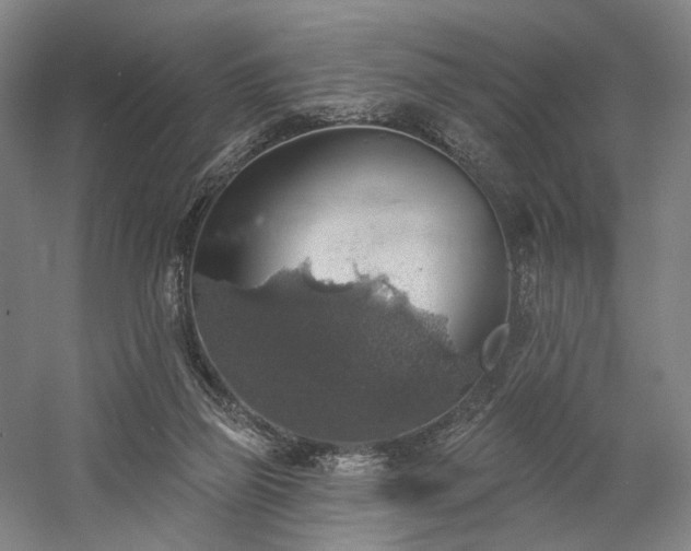 X0000058790165200509301150