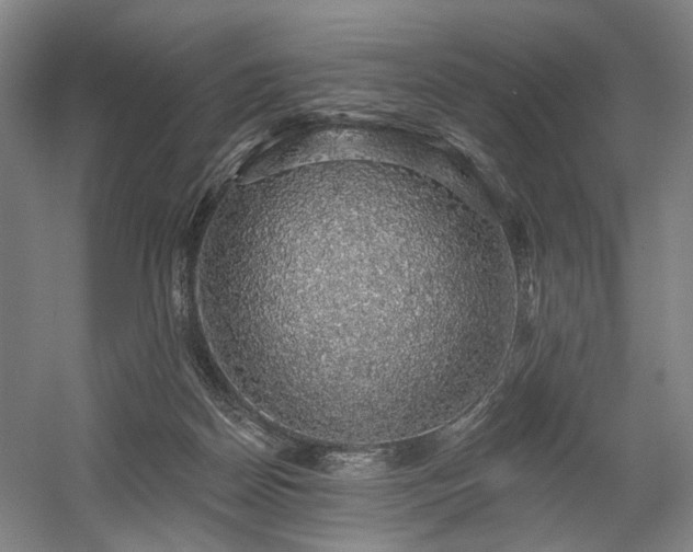 X0000058790170200509301150