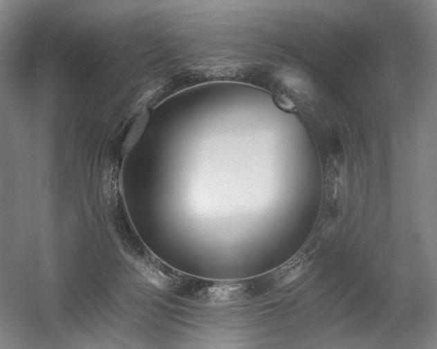 X0000058790172200509301150