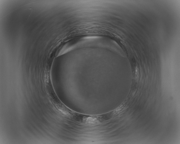 X0000058790180200509301150