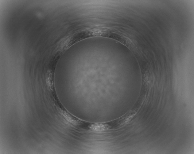 X0000058790181200509301150
