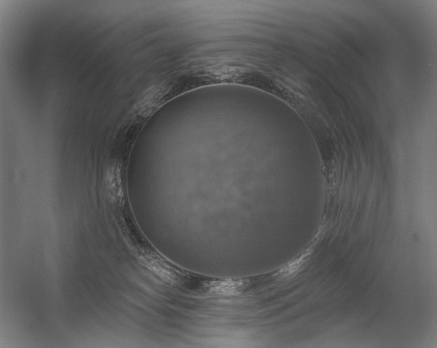 X0000058790182200509301150