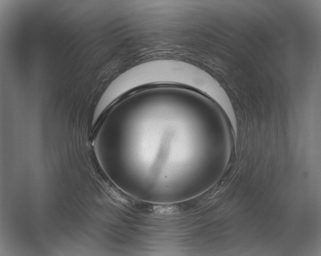 X0000058790185200509301151